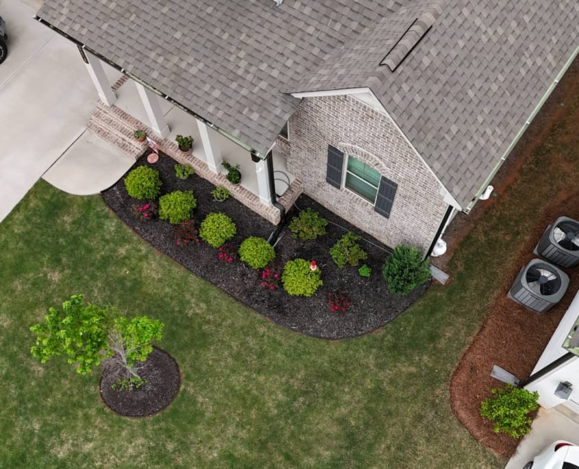 Front yard with new sod and plantings